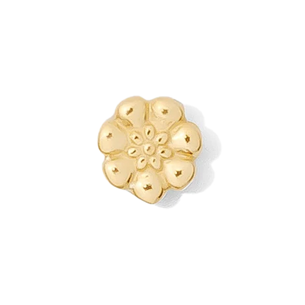 http://starfirebodyjewelry.com/cdn/shop/files/40786-Tawapa-threadless-Daisy-Pin-in-Gold-YG-VENDOR-PHOTO.jpg?v=1700165328