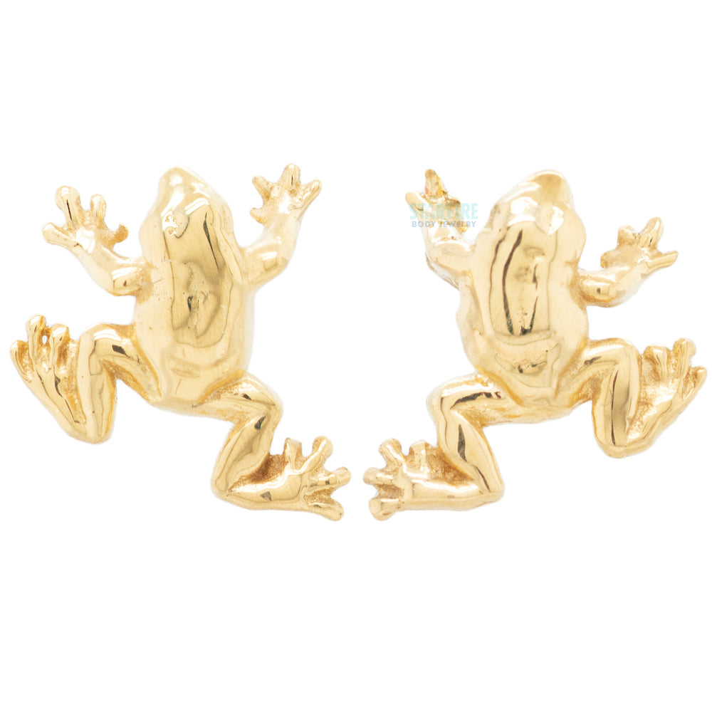 Anatometal threadless: Tree Frog End in Gold – Starfire Body