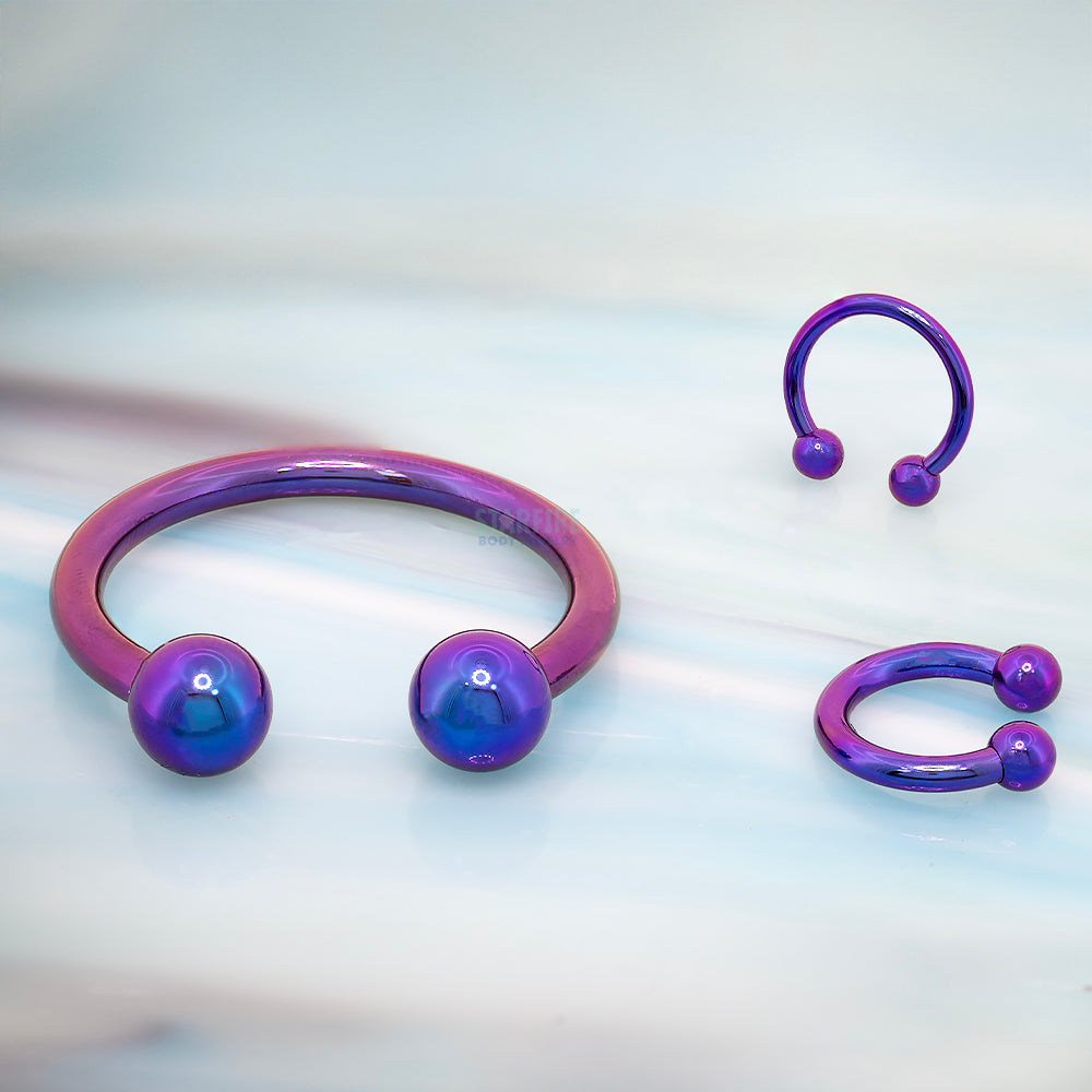 Titanium Circular Barbell – Blurple