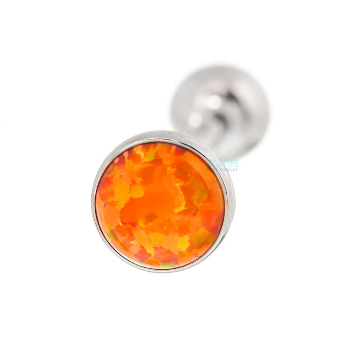 #opal-color_fo-fluorescent-orange