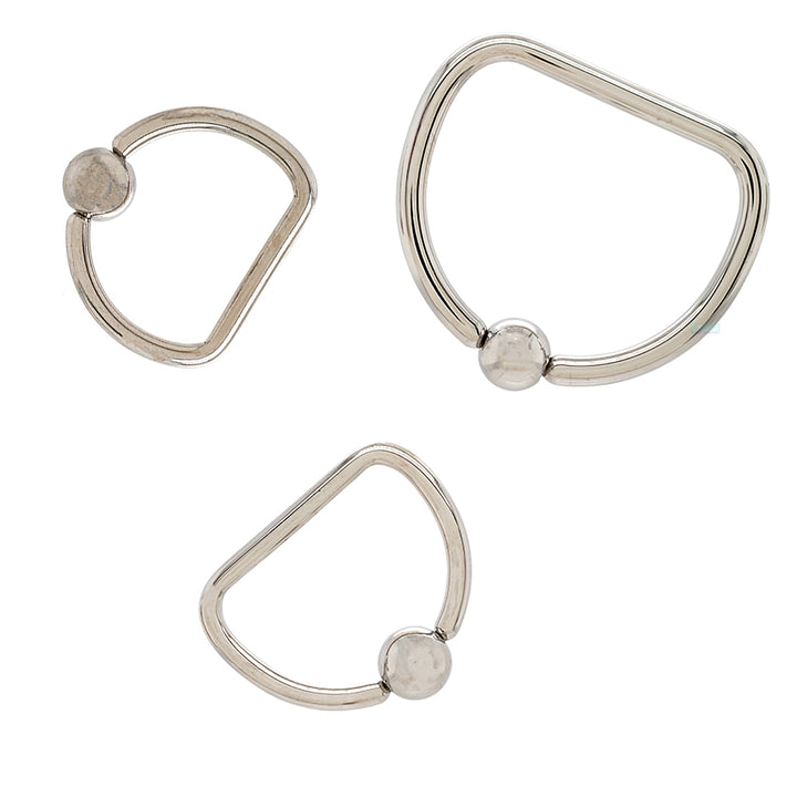 Stainless Steel D-Ring