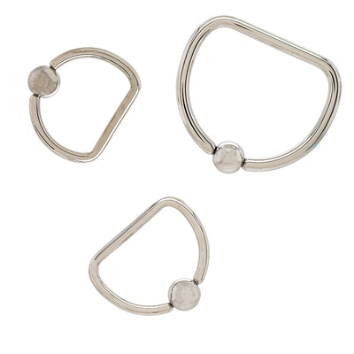 Stainless Steel D-Ring