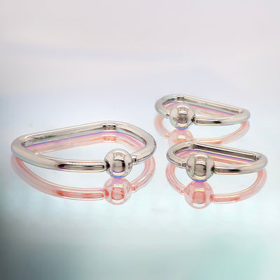 Stainless Steel D-Ring