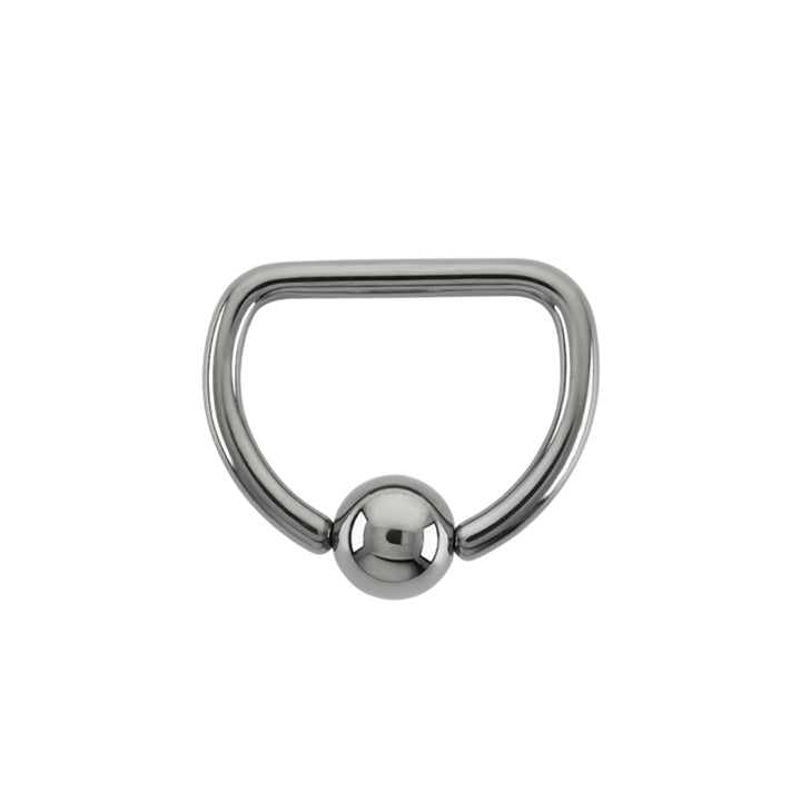 Stainless Steel D-Ring