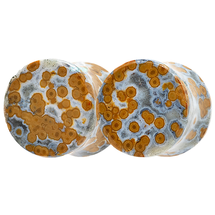 Stone Plugs - Ocean Jasper