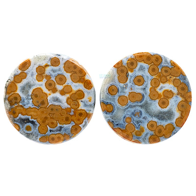 Stone Plugs - Ocean Jasper