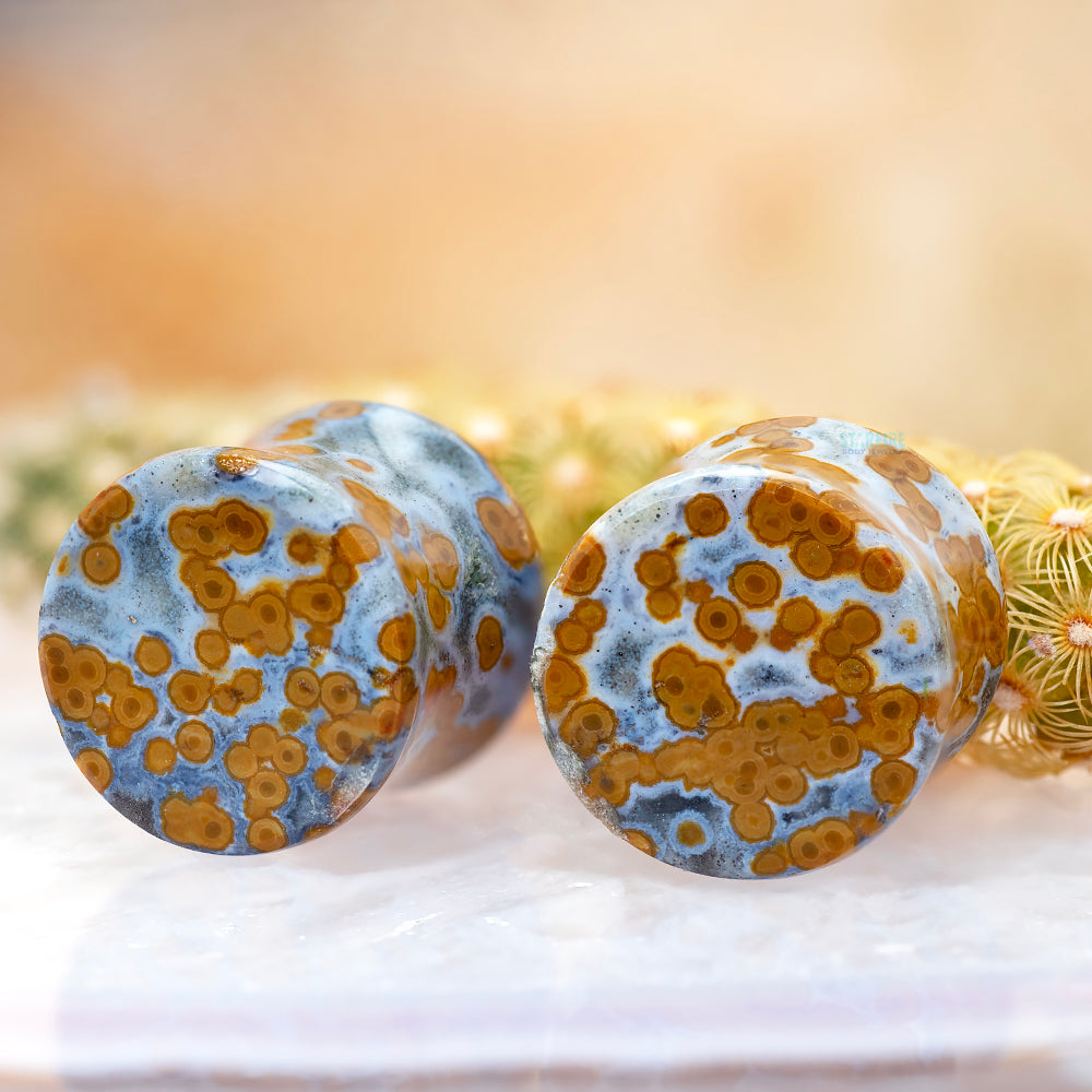 Stone Plugs - Ocean Jasper