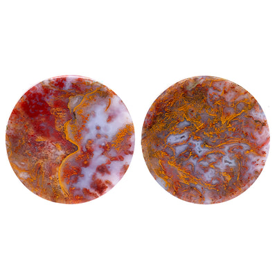Stone Plugs - Red Moss Agate