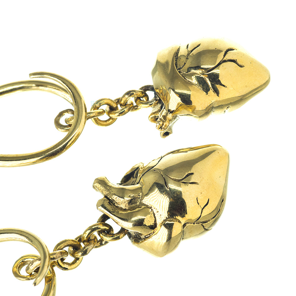 Anatomicas (Anatomical Heart) Hangers