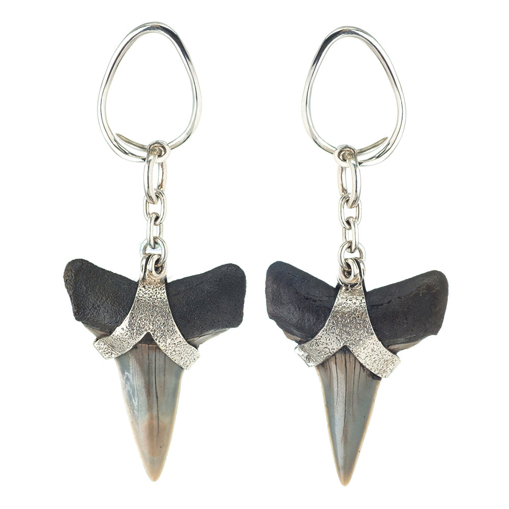 Megalodon (Shark) Teeth Hangers