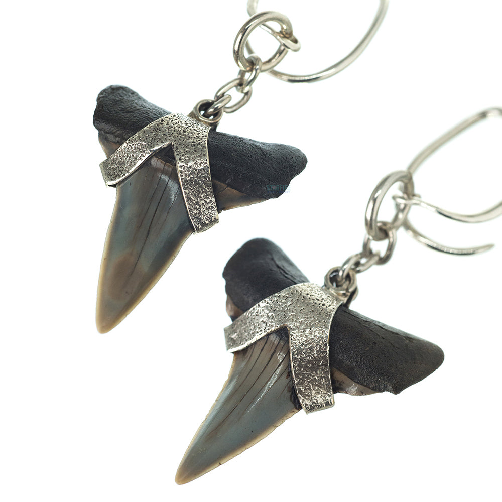 Megalodon (Shark) Teeth Hangers
