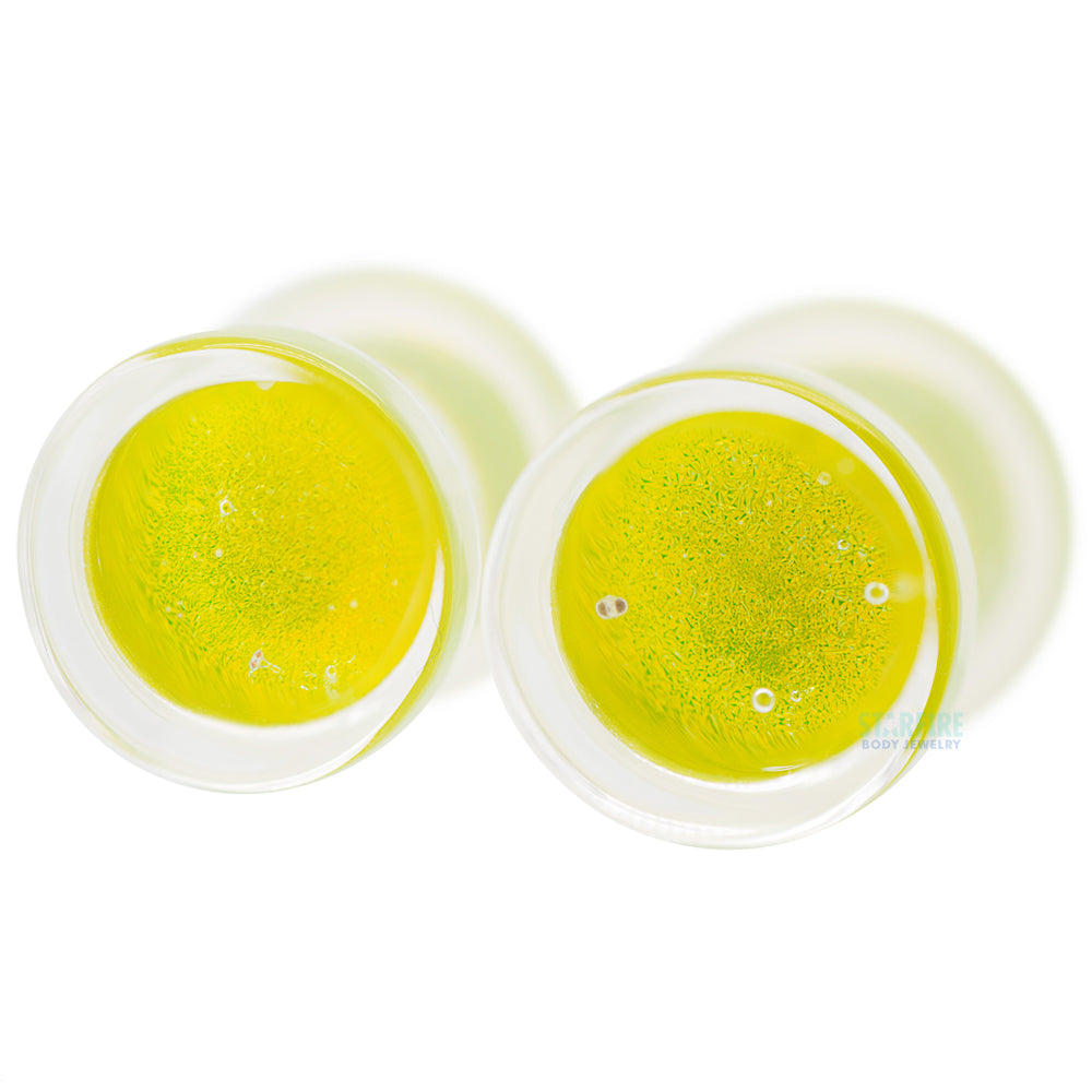Fused Dichroic Glass Plugs - Green Gold