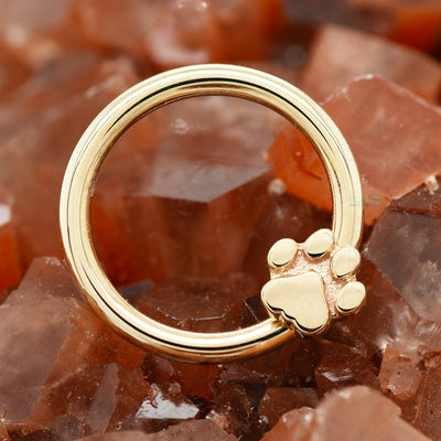 Flat Dog Paw Gold Captive Bead Ring (CBR)