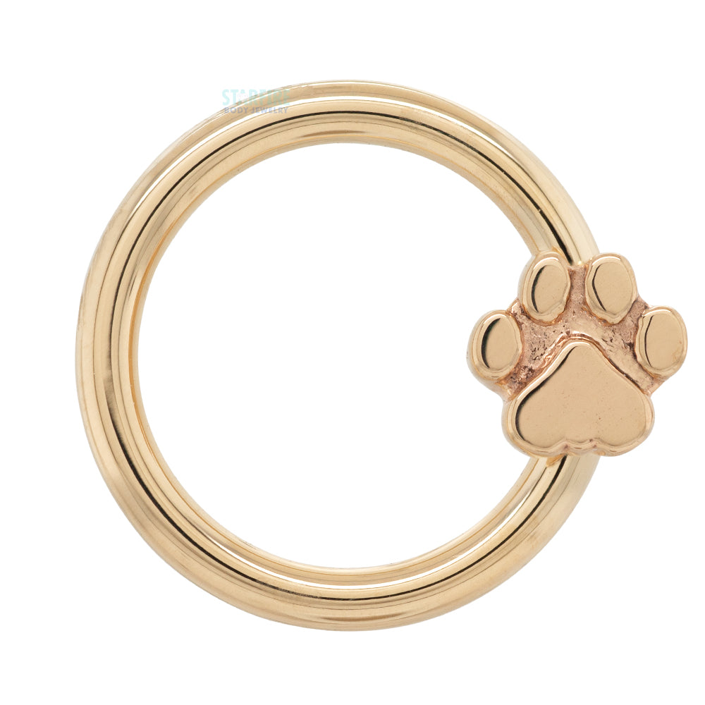 Flat Dog Paw Gold Captive Bead Ring (CBR)
