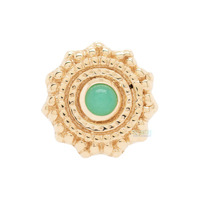 Round Afghan Nostril Screw in Gold with Chrysoprase