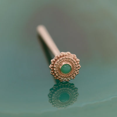 Round Afghan Nostril Screw in Gold with Chrysoprase