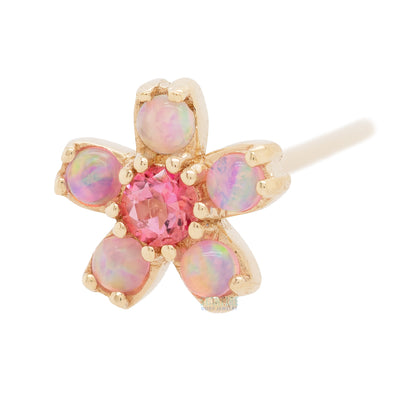 Cherry Blossom Nostril Screw in Gold with Pink Opal & Pink Topaz