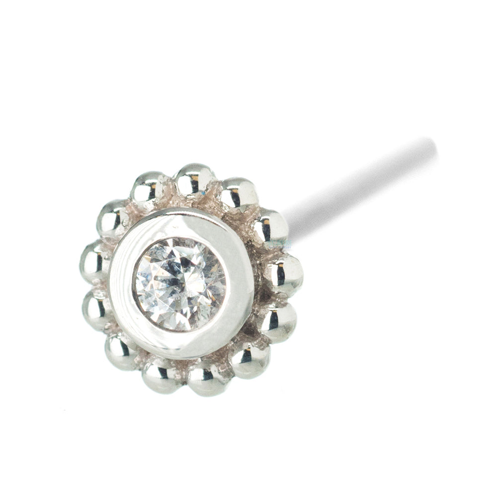 Beaded "Raine" Nostril Screw in Gold with White CZ