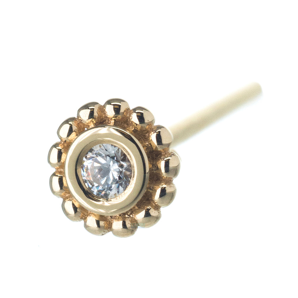 Beaded "Raine" Nostril Screw in Gold with White CZ