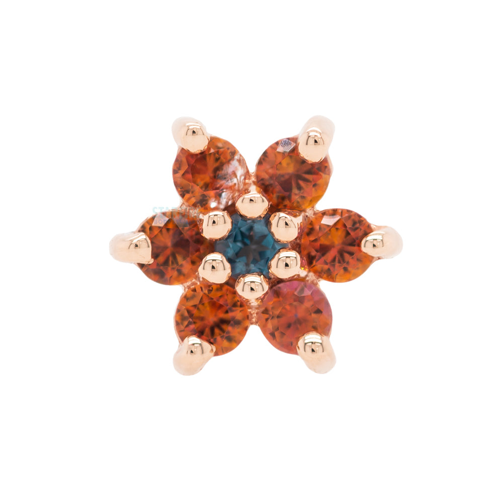 Flower #2 Nostril Screw in Gold with Anastasia Topaz' & London Blue Topaz