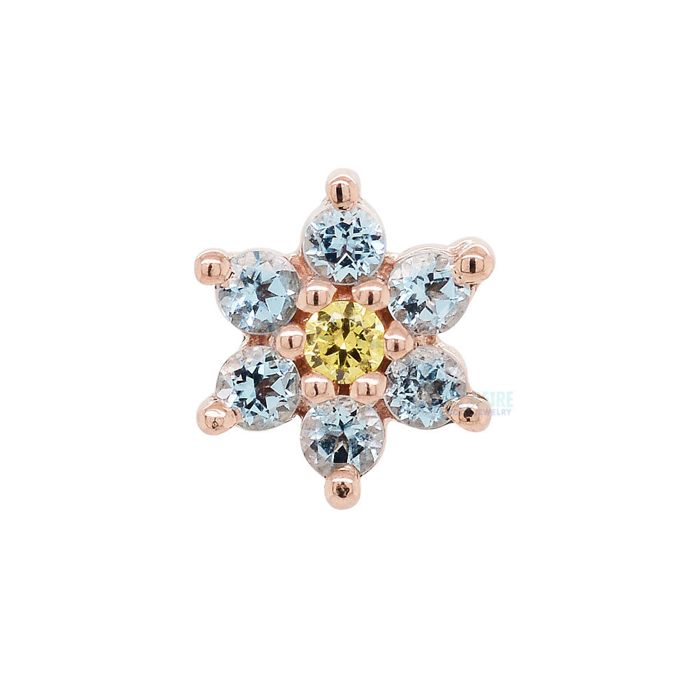 Flower #2 Nostril Screw in Gold with Swiss Blue Topaz & Yellow CZ