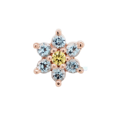 Flower #2 Nostril Screw in Gold with Swiss Blue Topaz & Yellow CZ
