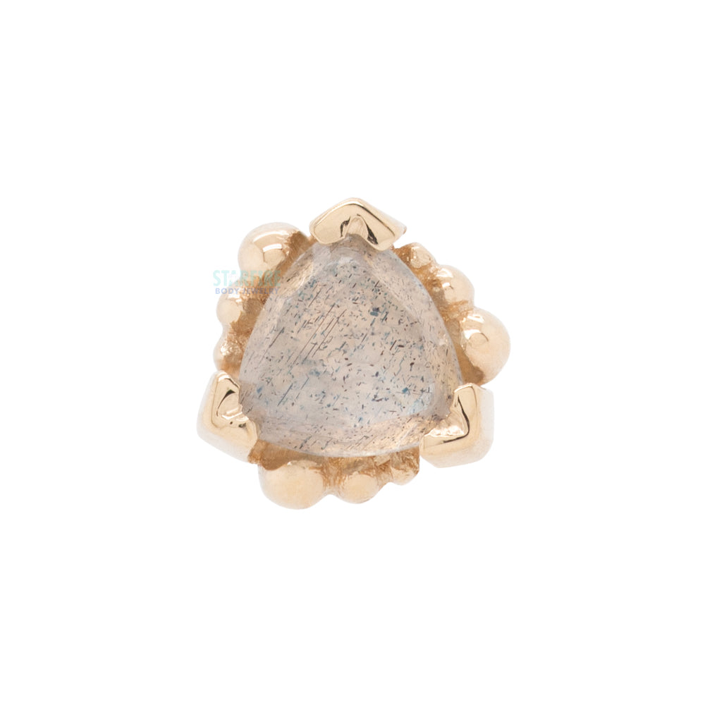 Beaded Trillion Nostril Screw in Gold with Rose Cut Labradorite