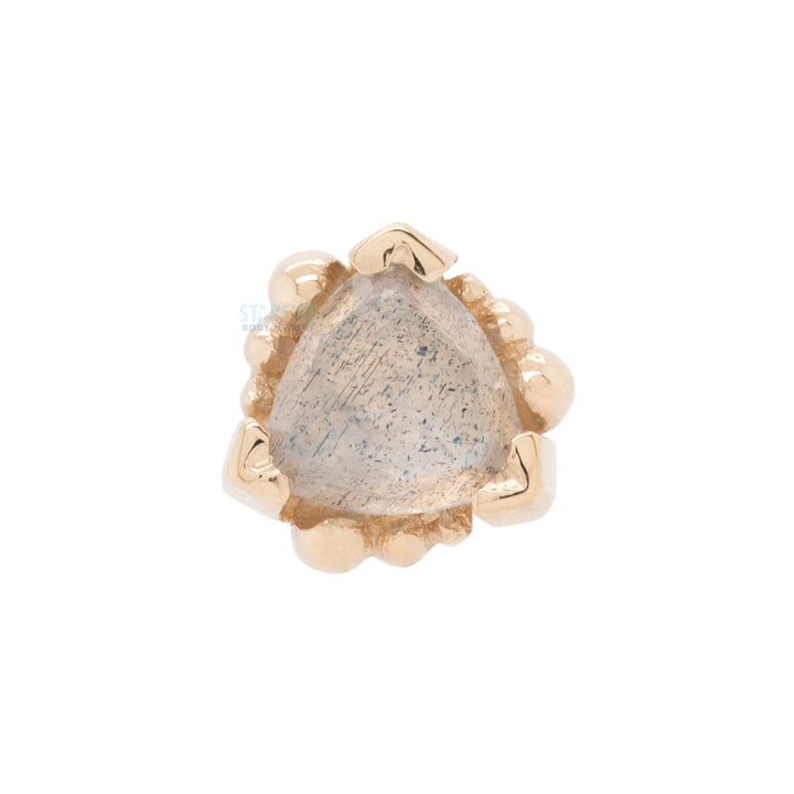 Beaded Trillion Nostril Screw in Gold with Rose Cut Labradorite