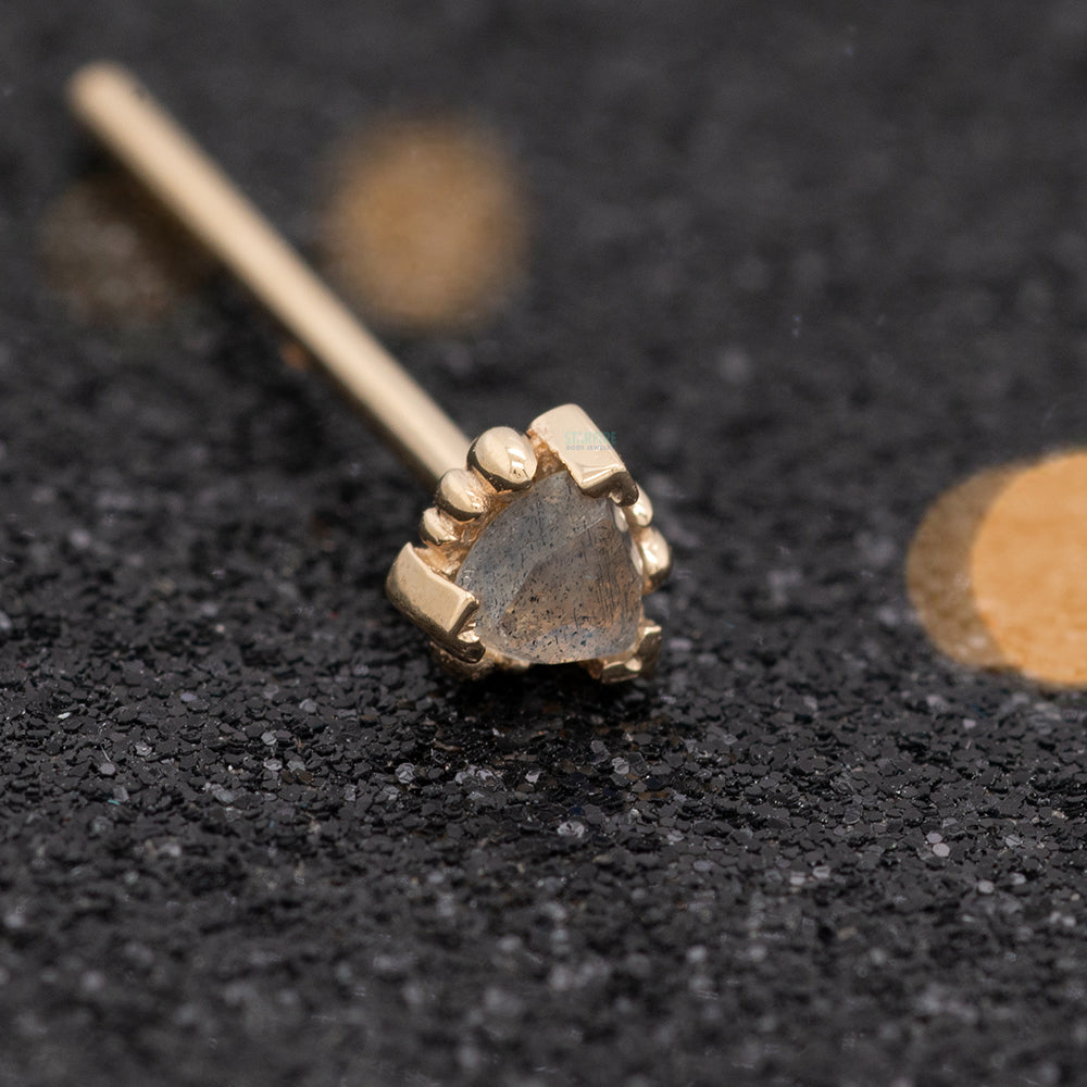 Beaded Trillion Nostril Screw in Gold with Rose Cut Labradorite