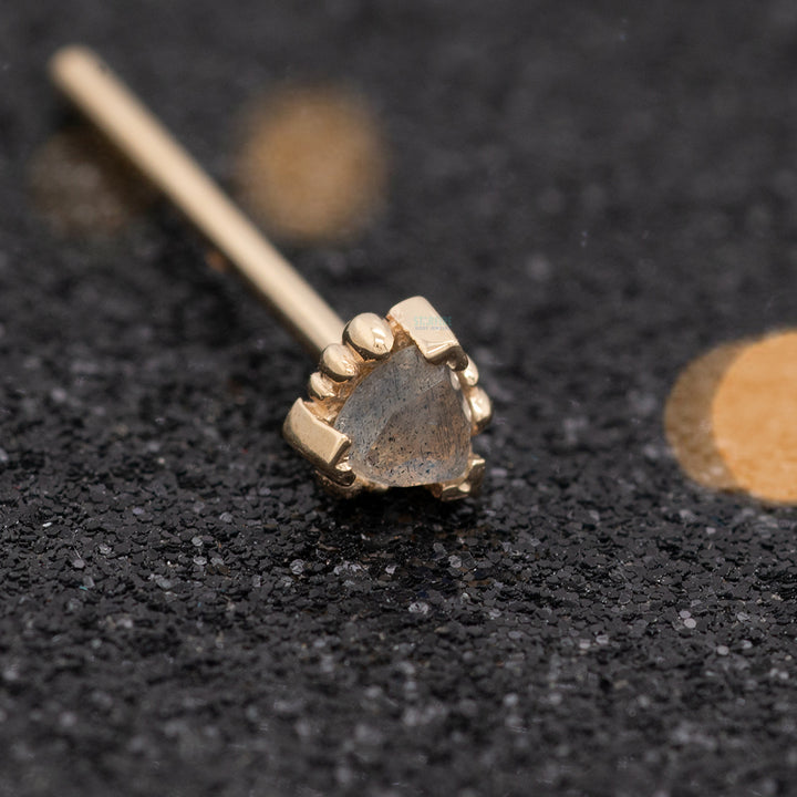 Beaded Trillion Nostril Screw in Gold with Rose Cut Labradorite