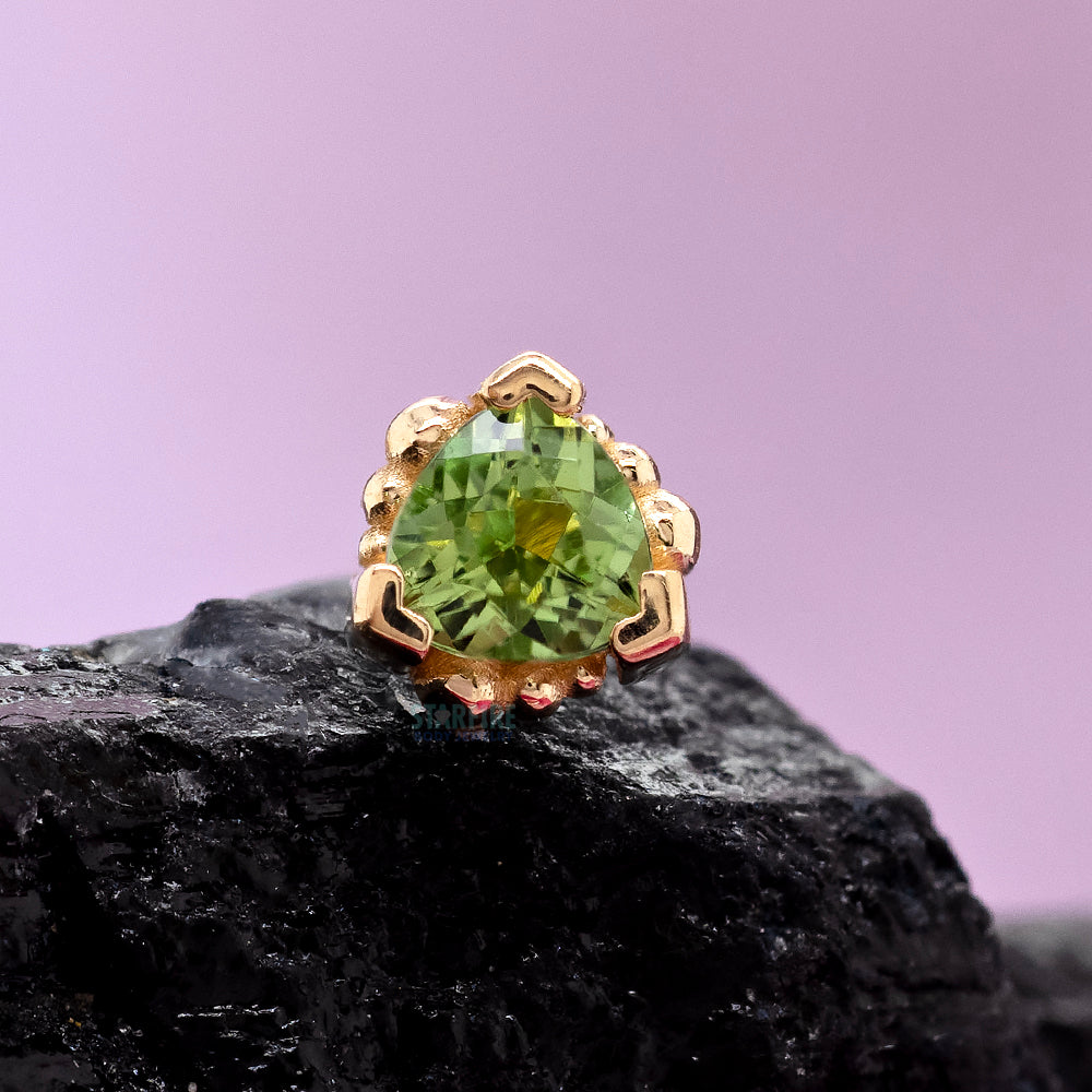 Beaded Trillion Nostril Screw in Gold with Seafoam Tourmaline