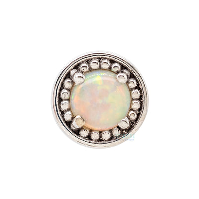 Milgrain Prong Nostril Screw in Gold with Genuine White Opal