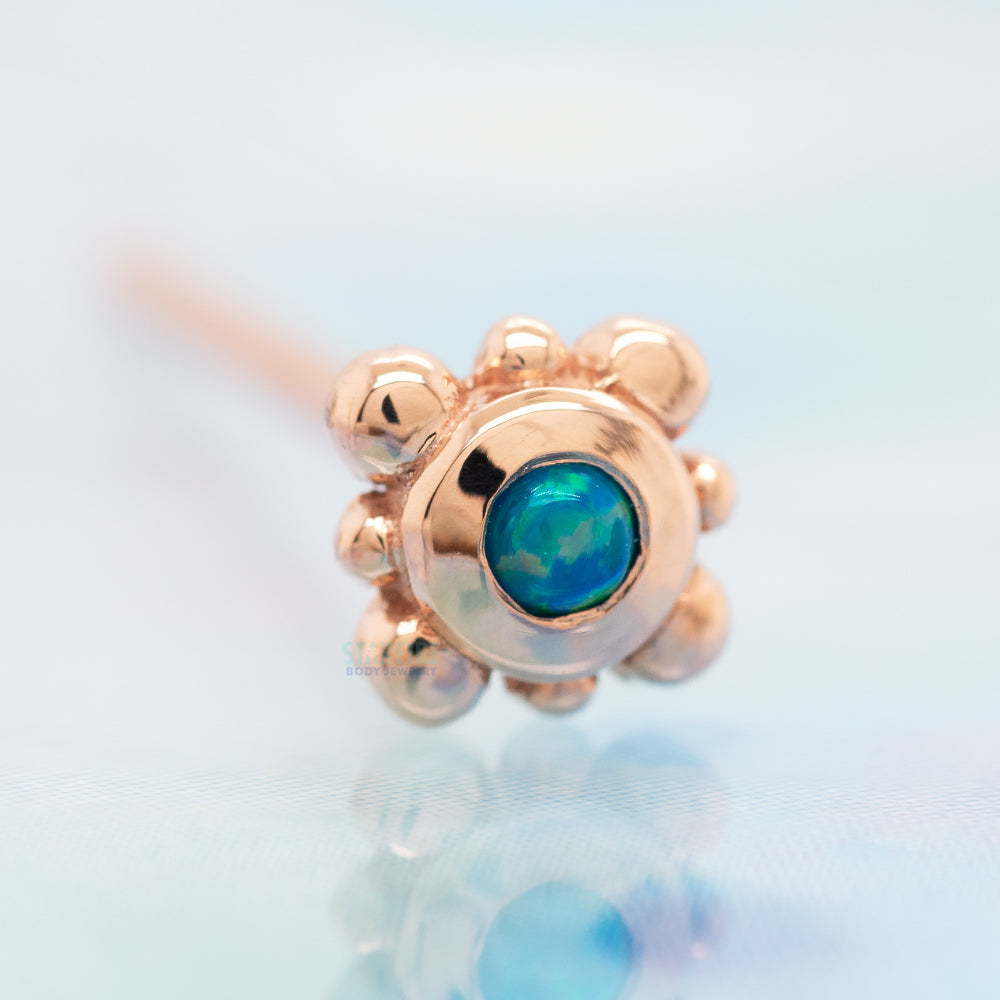 Bezel with 8 Beads Nostril Screw in Gold with Teal Opal