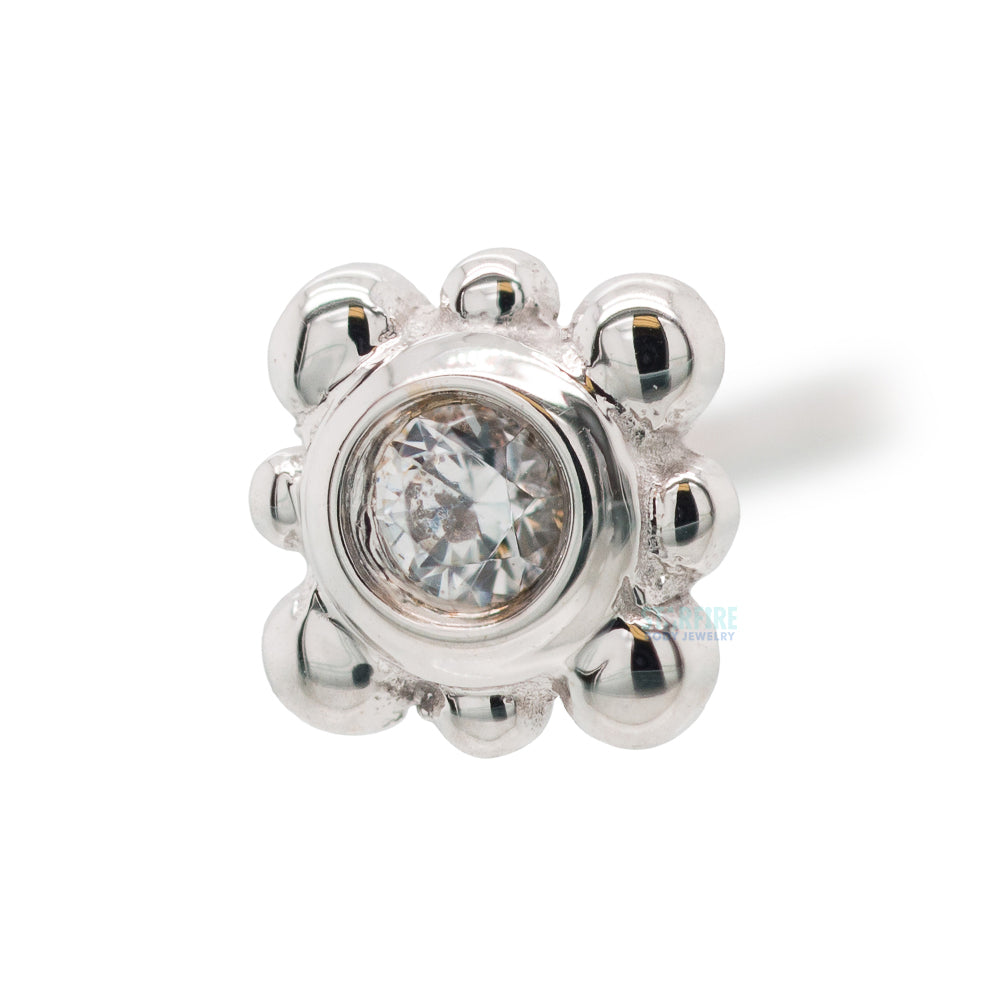 Bezel with 8 Beads Nostril Screw in Gold with White CZ