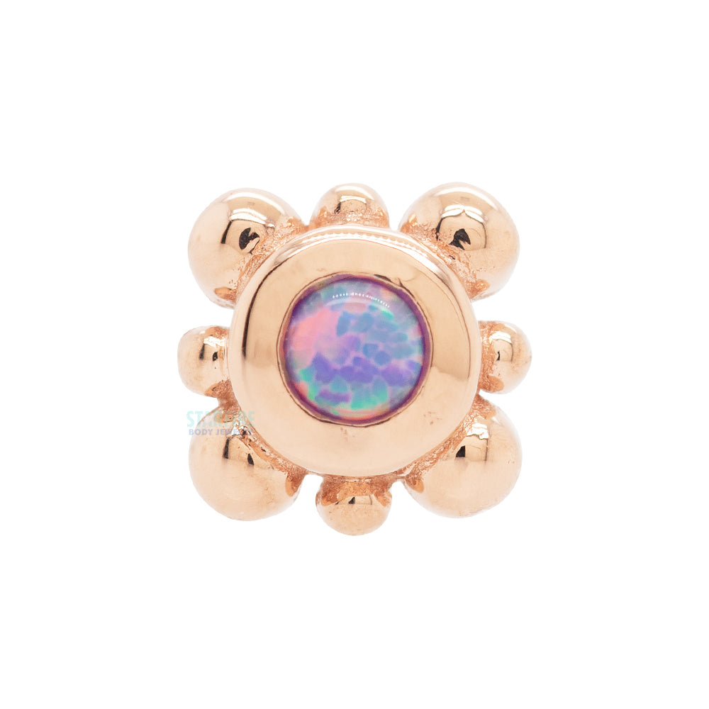 Bezel with 8 Beads Nostril Screw in Gold with Lavender Opal