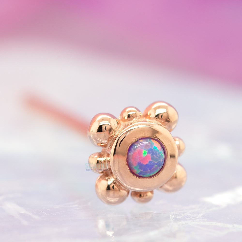 Bezel with 8 Beads Nostril Screw in Gold with Lavender Opal