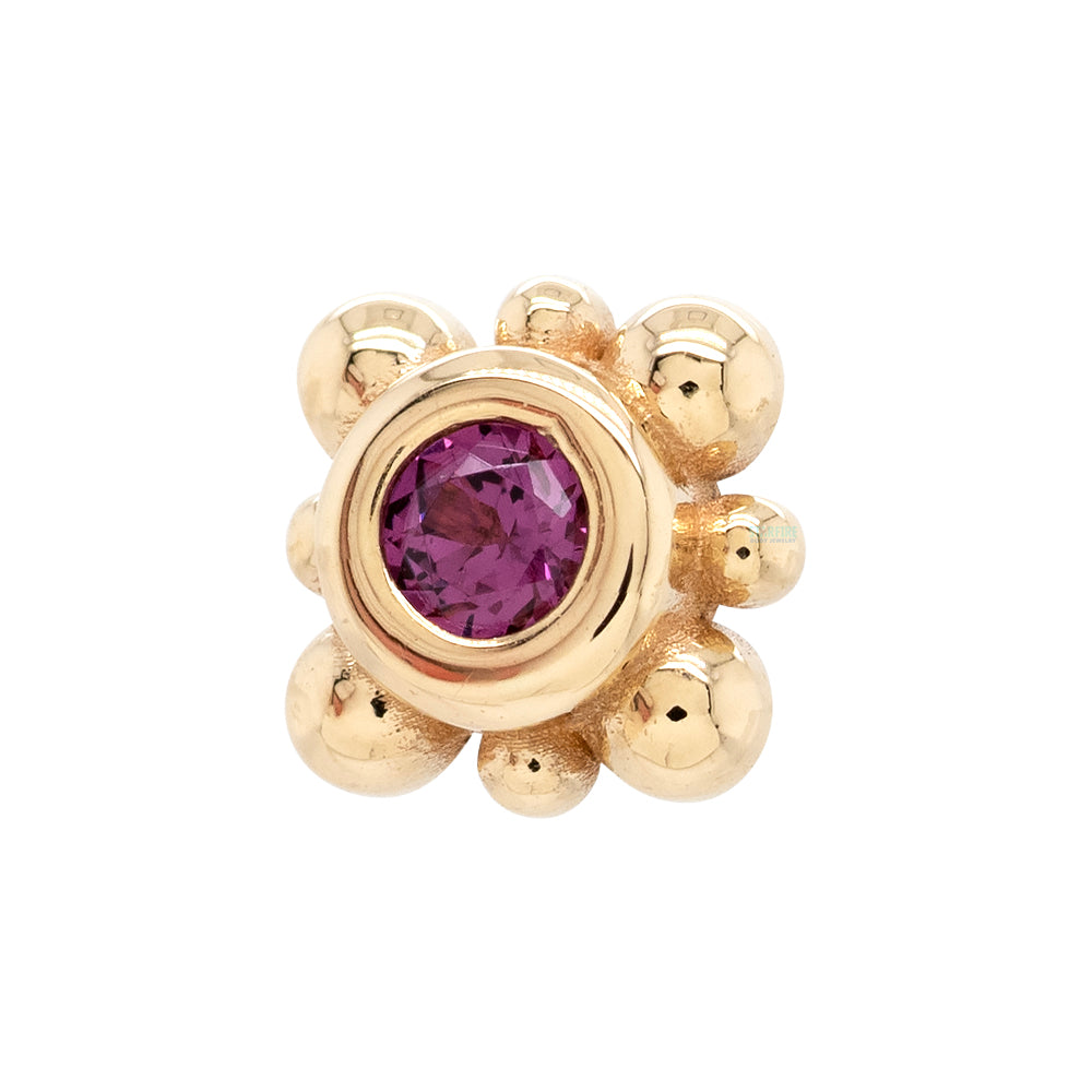 Bezel with 8 Beads Threaded End in Gold with Rhodolite