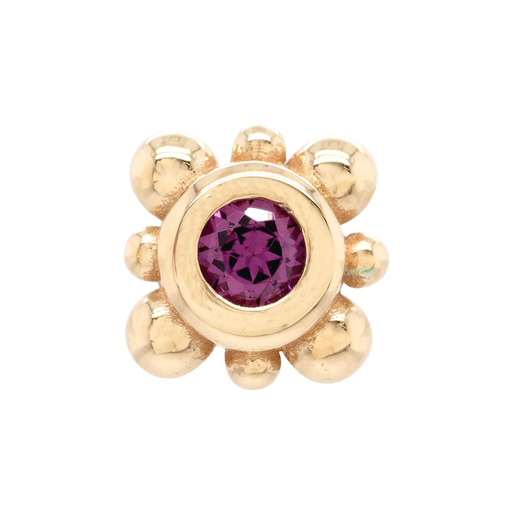 Bezel with 8 Beads Threaded End in Gold with Rhodolite