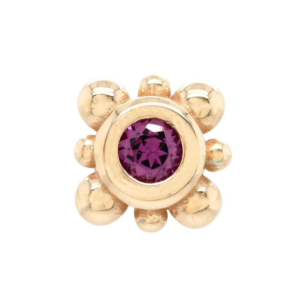 Bezel with 8 Beads Threaded End in Gold with Rhodolite