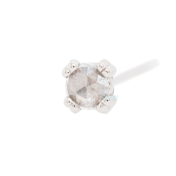 Rose Cut Diamond Prong Set Nostril Screw in Gold & Platinum