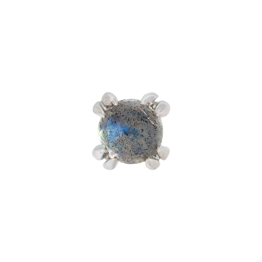 Rose Cut Labradorite Prong Set Threaded End in Gold & Platinum