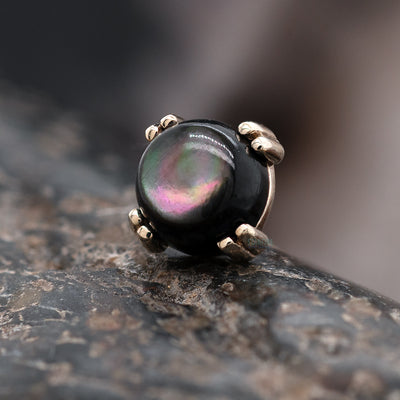 threadless: Black Mother of Pearl Cabochon Prong Set Pin in Gold