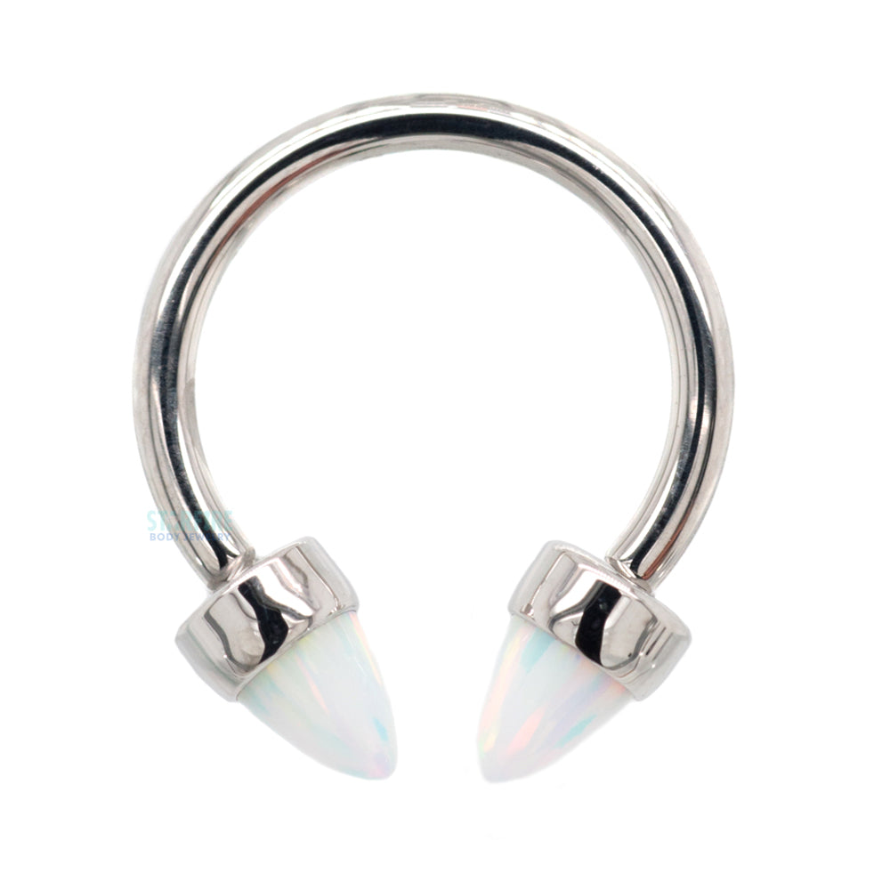 Anatometal circular barbell deals