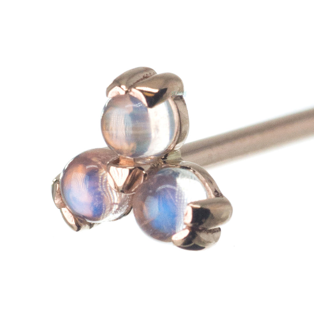 Tri Prong Cabochon Cluster Nostril Screw in Gold with Rainbow Moonstone