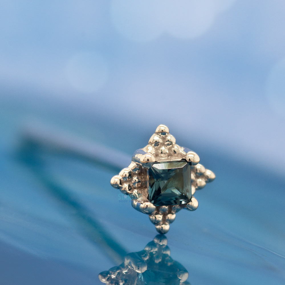 "Mini Kandy" Nostril Screw in Gold & Platinum with Princess-Cut London Blue Topaz