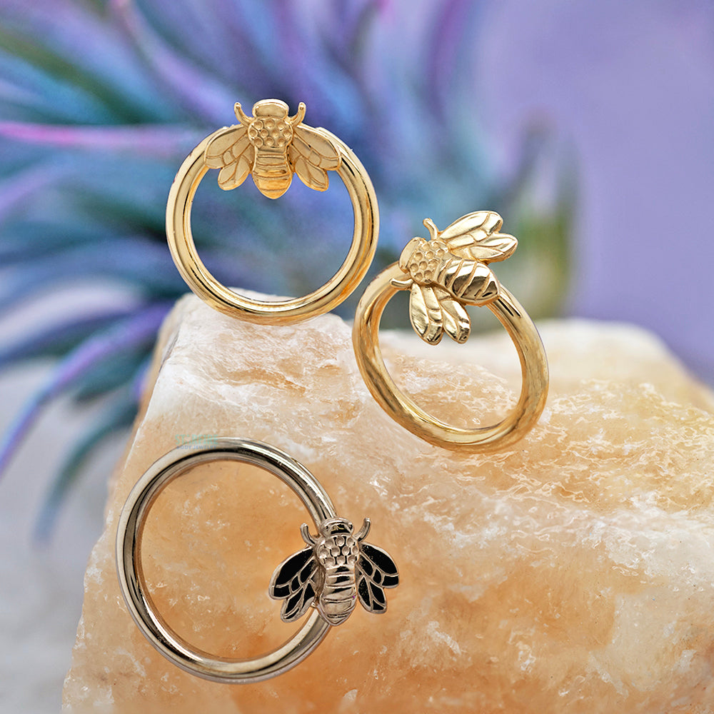 Bee Gold Captive Bead Ring (CBR)