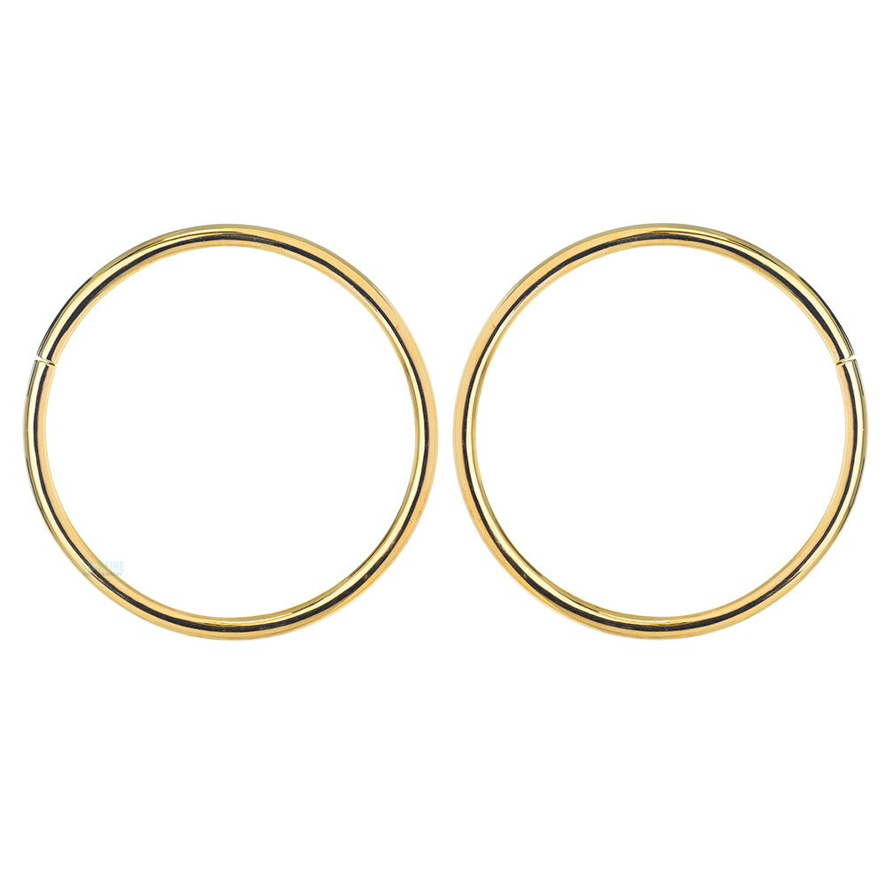 "Hoochie Hoops" Weights