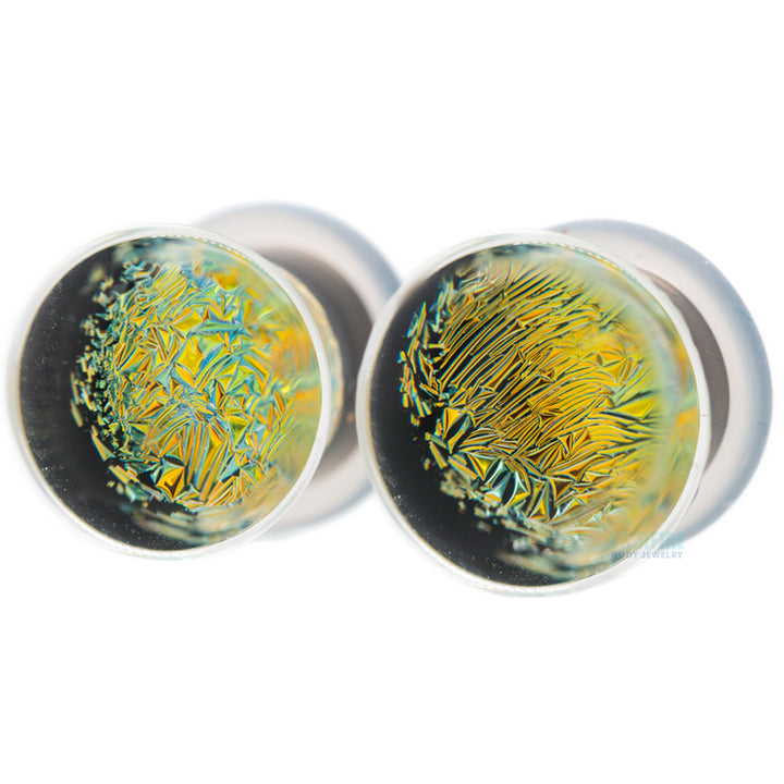Foil Glass Plugs - Gold on Black