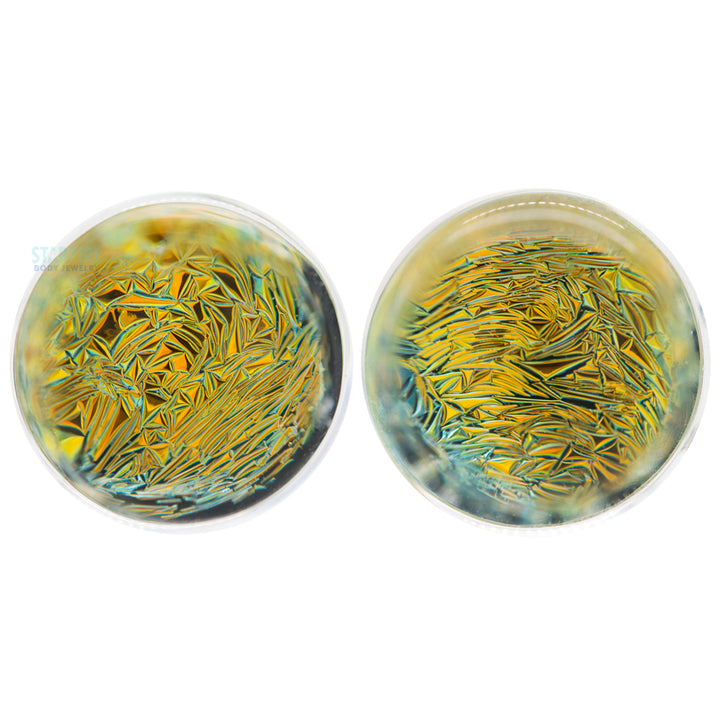 Foil Glass Plugs - Gold on Black