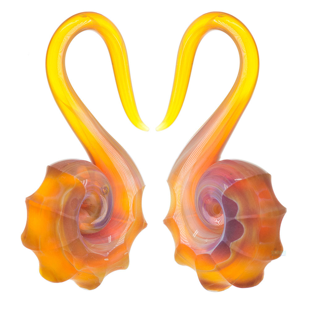Glass Nautilus
